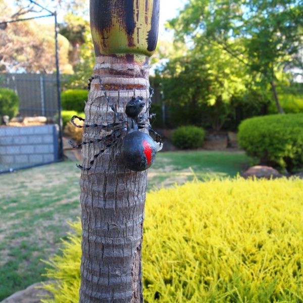 Redback Spider metal garden art